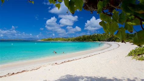 st thomas beachfront vacation rentals.